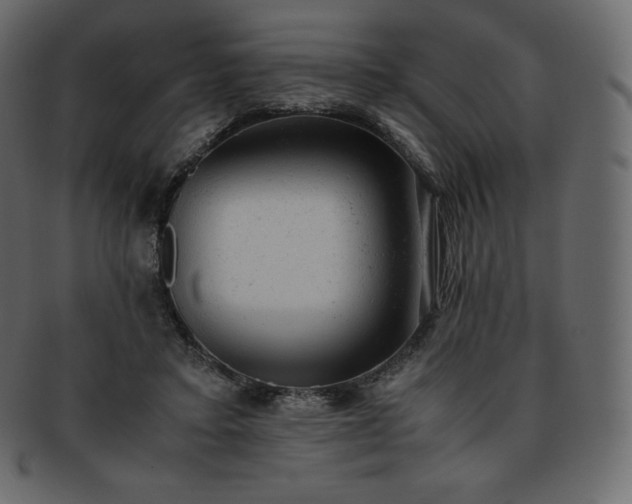 X0000093370403200710191120