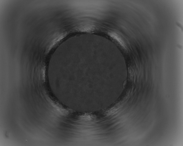 X0000093370404200710191120