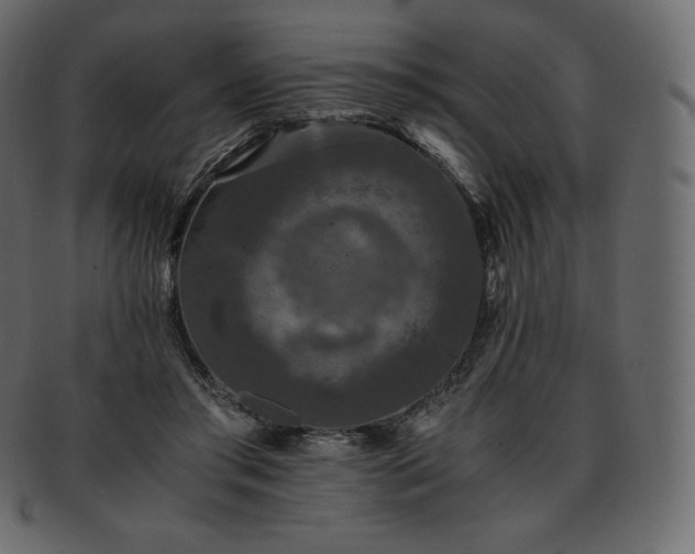 X0000093370405200710191120