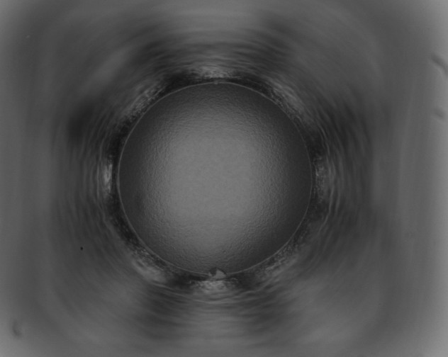 X0000093370406200710191120