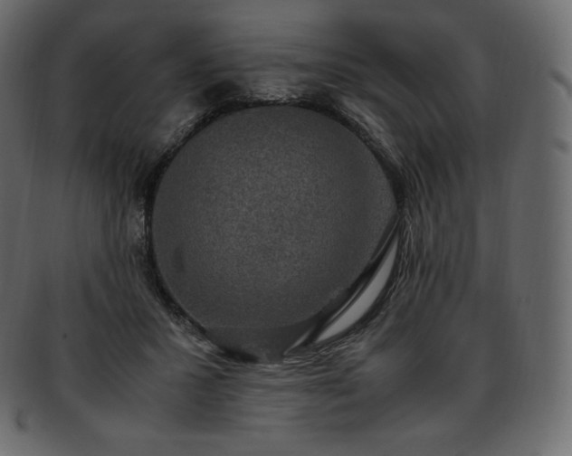 X0000093370407200710191120