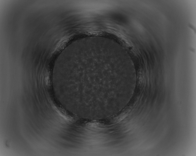 X0000093370408200710191120