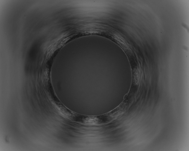 X0000093370410200710191120