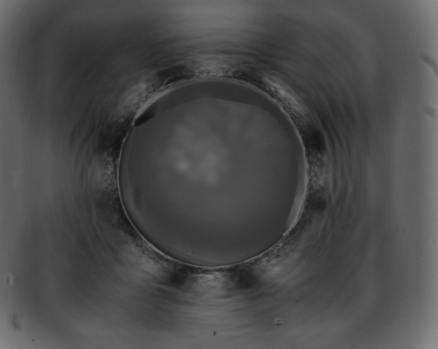 X0000093370411200710191120