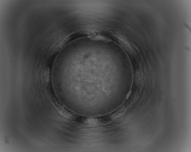 X0000093370413200710191120