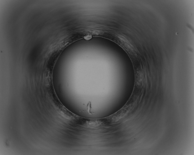 X0000093370414200710191120