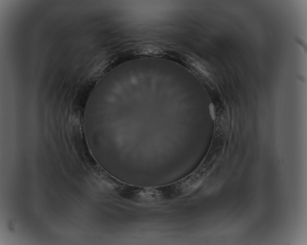 X0000093370415200710191119