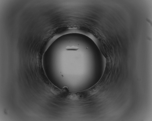 X0000093370416200710191119