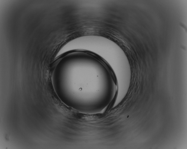 X0000093370417200710191119