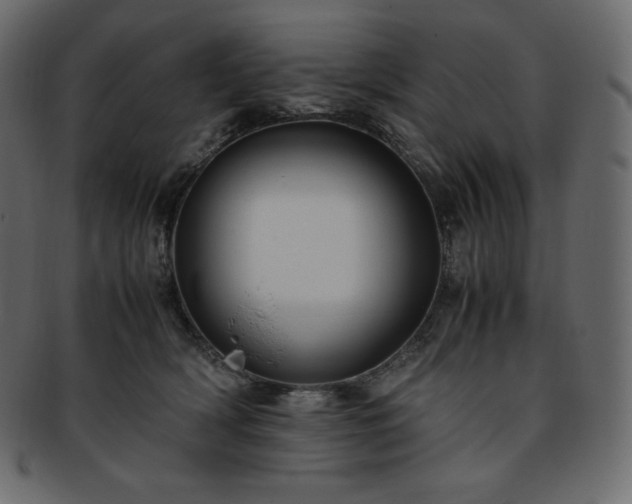 X0000093370418200710191119