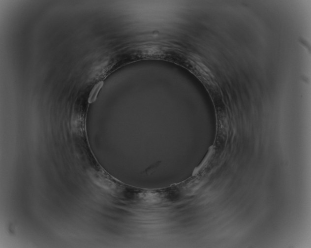 X0000093370419200710191119