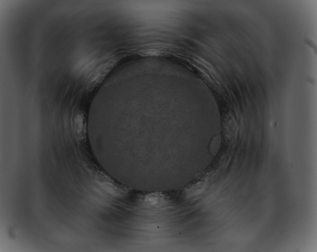 X0000093370420200710191119