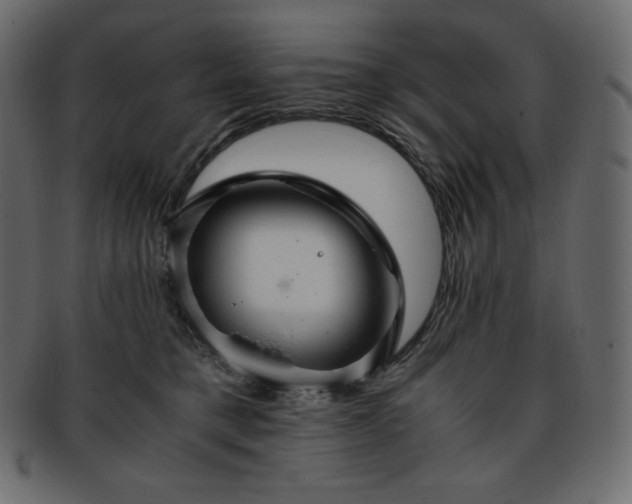 X0000093370421200710191119