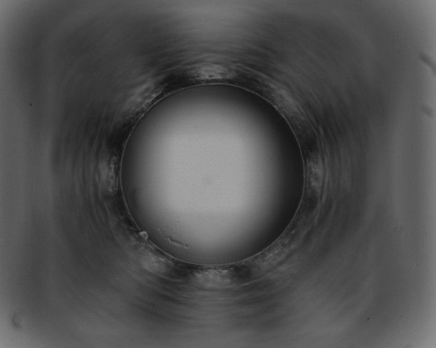 X0000093370422200710191119