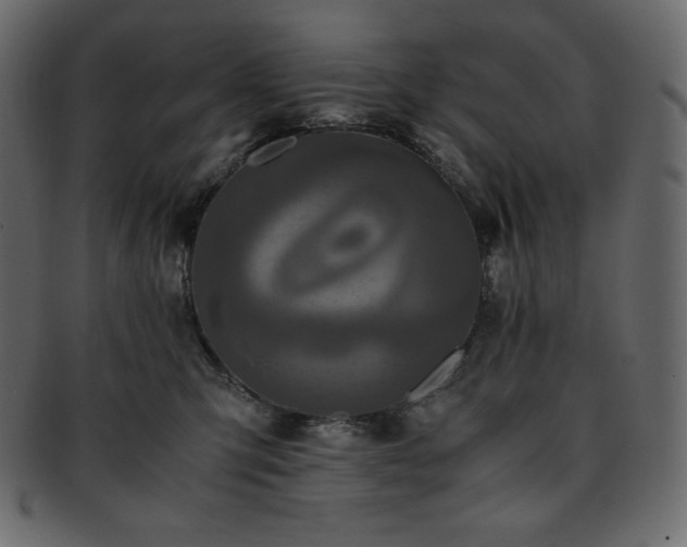 X0000093370423200710191119