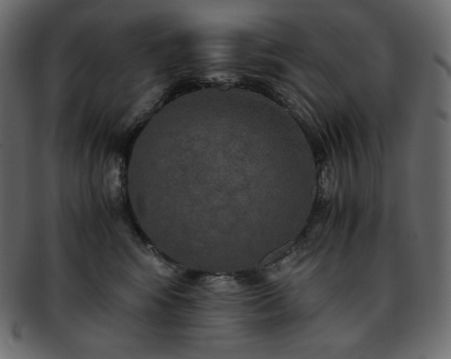 X0000093370424200710191119