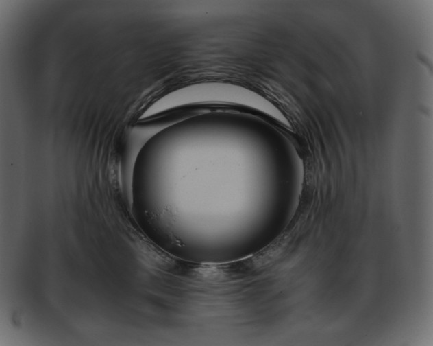 X0000093370425200710191119