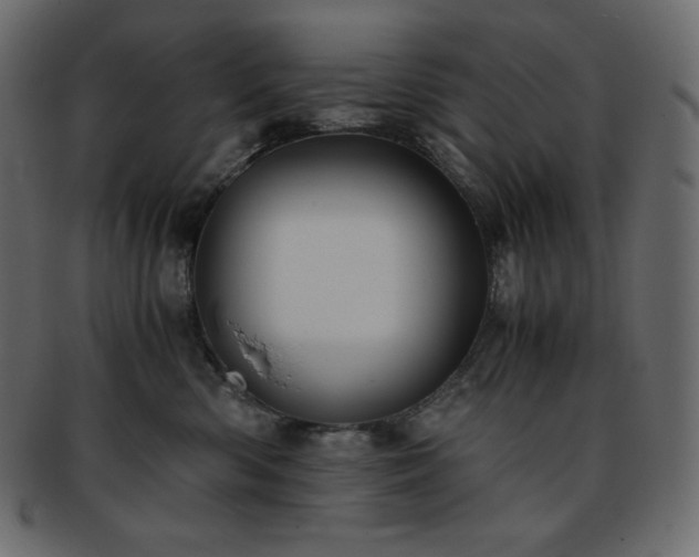 X0000093370426200710191119