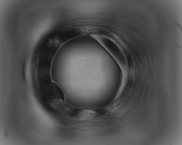 X0000093370429200710191119