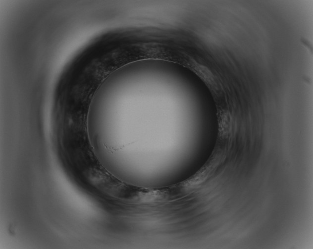 X0000093370430200710191119