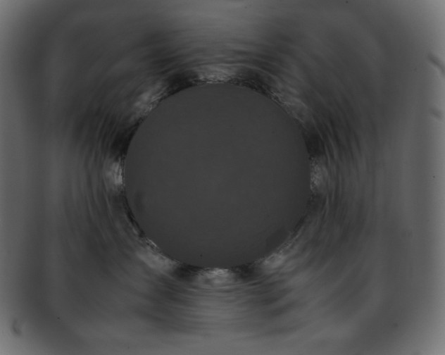 X0000093370431200710191119