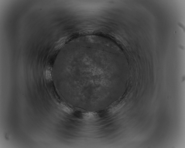 X0000093370432200710191119