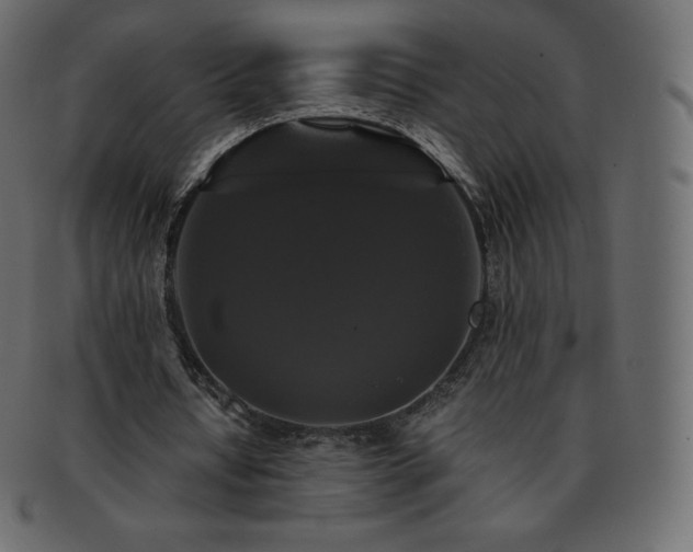 X0000093370434200710191119