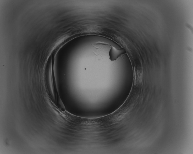 X0000093370435200710191119