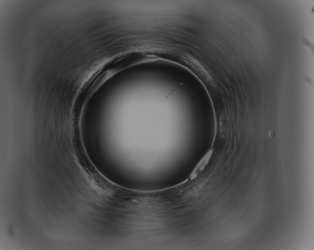 X0000093370436200710191119