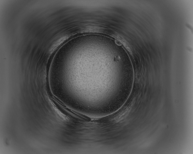 X0000093370437200710191119