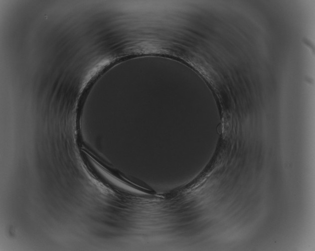 X0000093370438200710191119