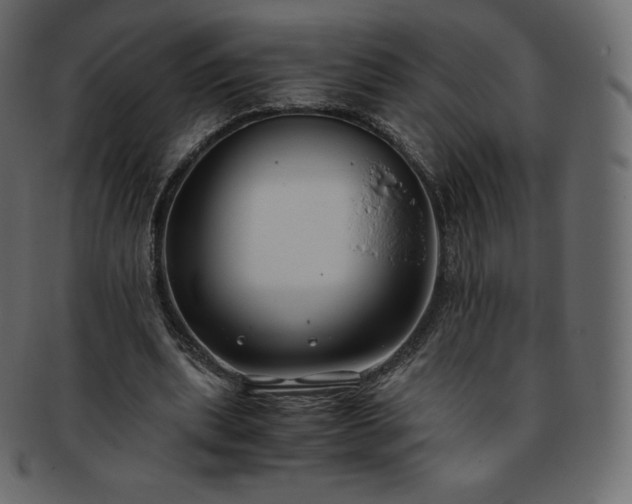 X0000093370439200710191119