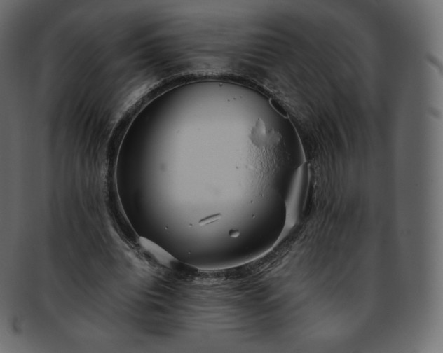 X0000093370440200710191119