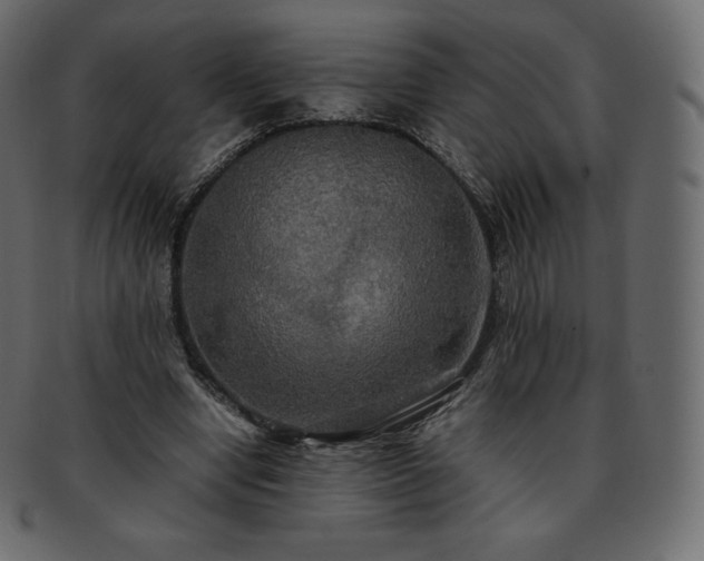 X0000093370442200710191119