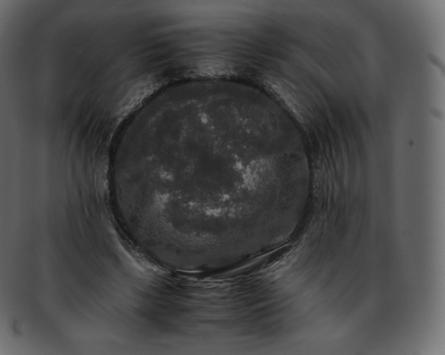 X0000093370443200710191119