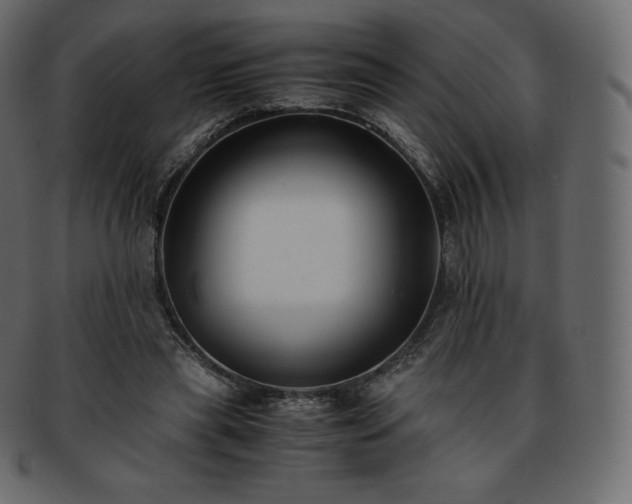 X0000093370445200710191119