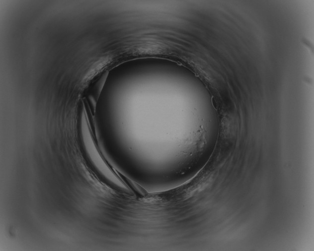 X0000093370446200710191119