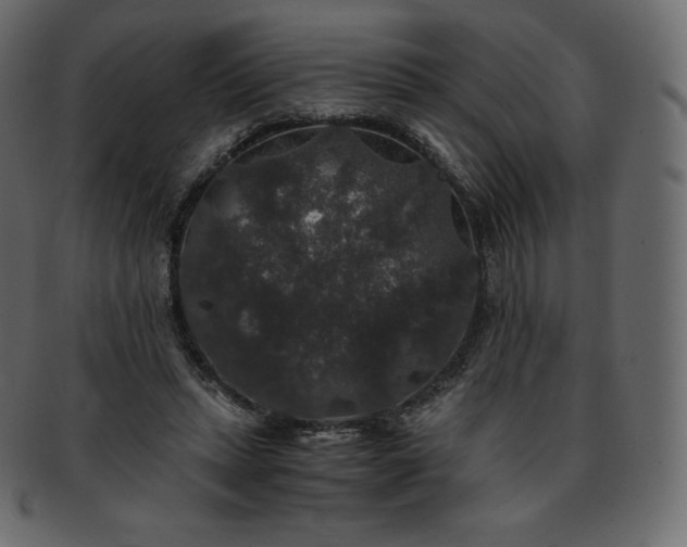 X0000093370447200710191119