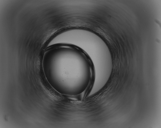 X0000093370448200710191119