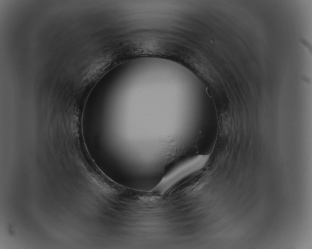 X0000093370450200710191119