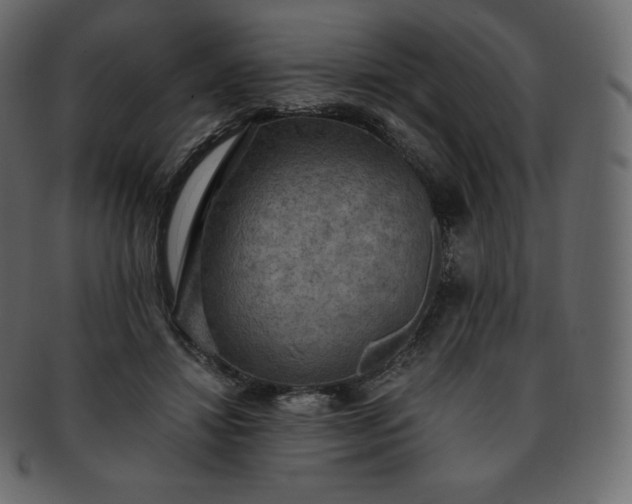 X0000093370452200710191119