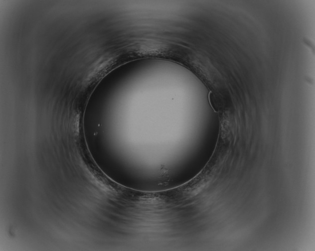 X0000093370454200710191119