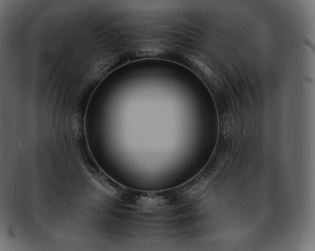 X0000093370455200710191119