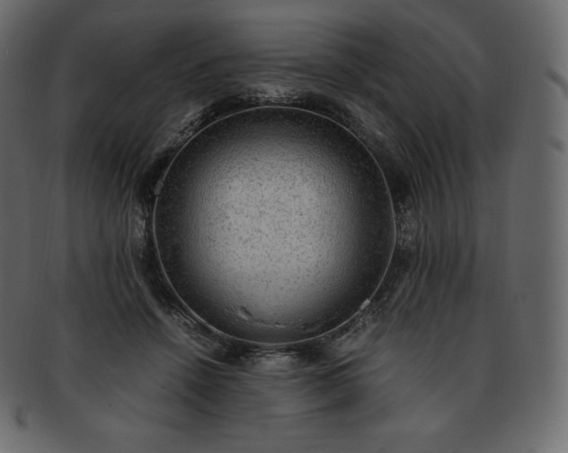 X0000093370456200710191119