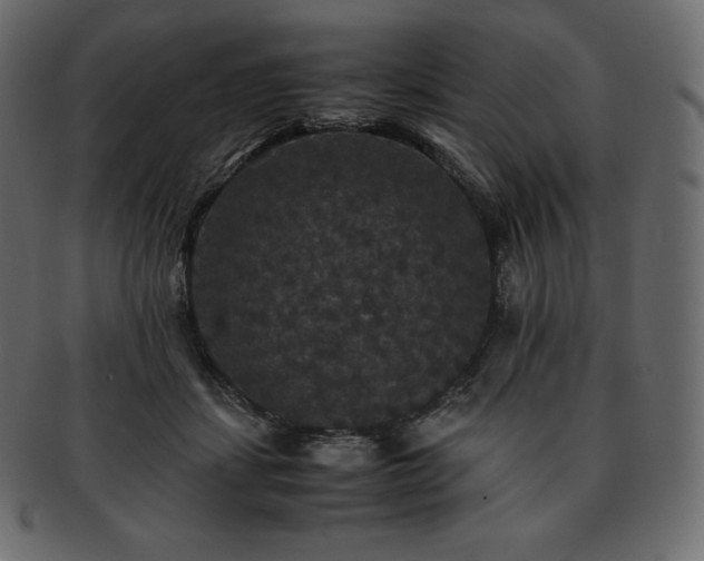 X0000093370459200710191119