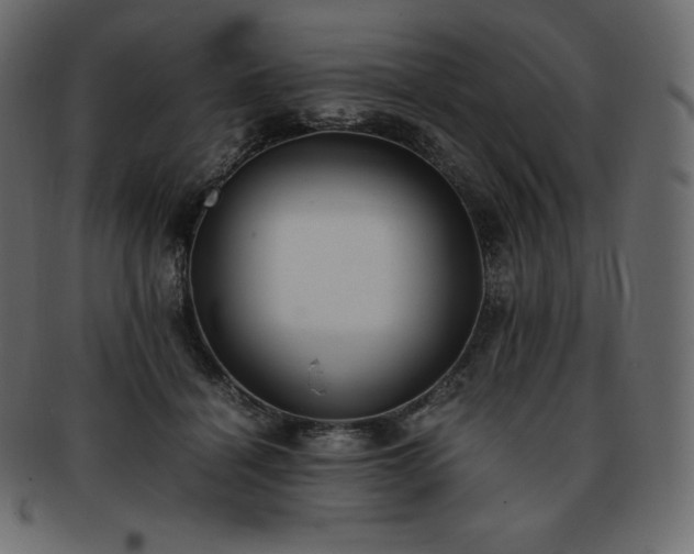 X0000093370460200710191119