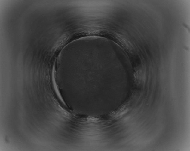 X0000093370462200710191119