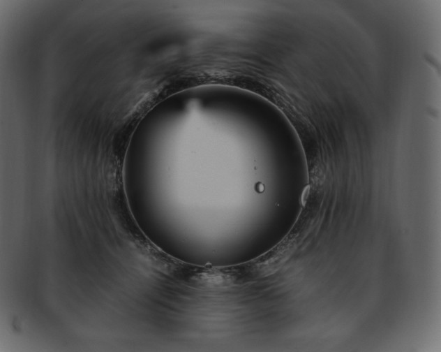 X0000093370464200710191119