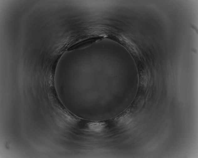 X0000093370465200710191119