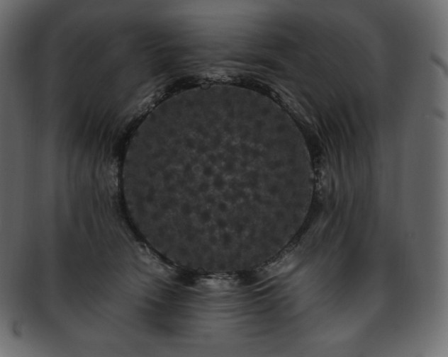 X0000093370466200710191119